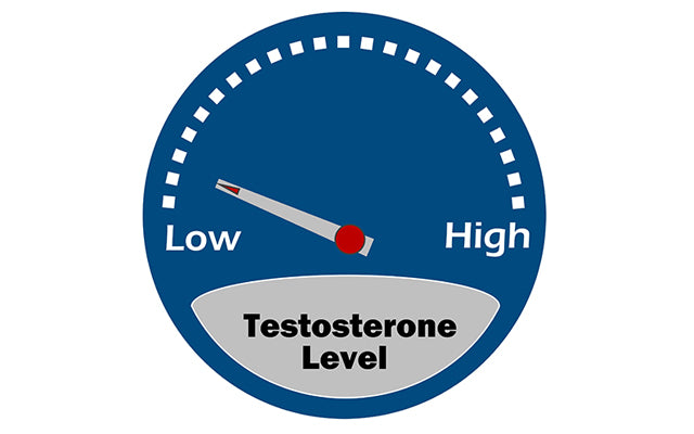 Low testosterone level